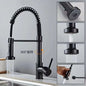 Professional Black Kitchen Faucet With Flexible Pull-Out Spray Hose