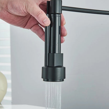 Professional Black Kitchen Faucet With Flexible Pull-Out Spray Hose