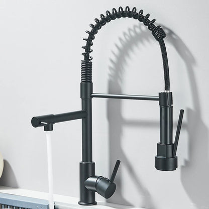 Professional Black Kitchen Faucet With Flexible Pull-Out Spray Hose