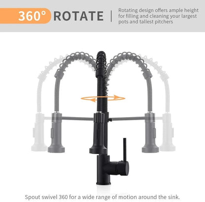 Professional Black Kitchen Faucet With Flexible Pull-Out Spray Hose